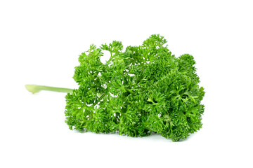 Poster - Parsley leaf or Petroselinum crispum leaves isolated on white background ,Green leaves pattern