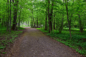 Wall Mural - Gravel path in the spring Park of the old manor