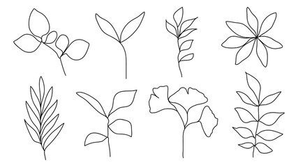 Wall Mural - One line continuous of leaves, botanical plant set isolated, simple art design, abstract