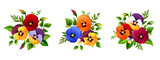 Set of vector bouquets of colorful pansy flowers isolated on a white background.