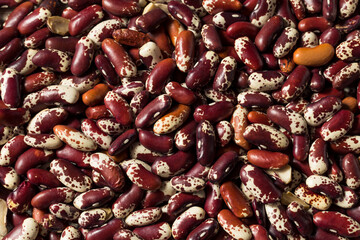 Raw Red Organic Cattle Kidney Beans