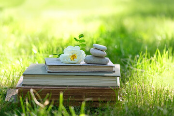 Rose flower, old books and stack of zen stones on green natural background. Feng Shui, Balance and relaxation concept. summer season.