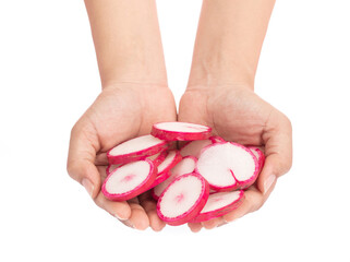 Canvas Print - hand holding slice red radish isolated on white background