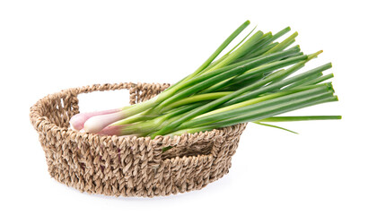 Canvas Print - basket of onion spring isolated on white background