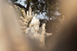 © shubhangharsh - Goddess Saraswati