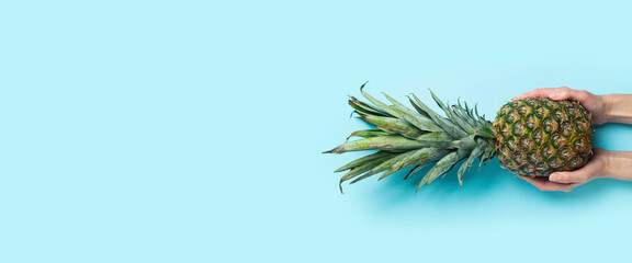 Wall Mural - Female hands hold a whole ripe pineapple on a blue background. Top view, flat lay. Banner