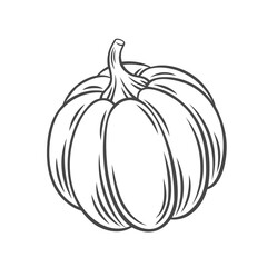 Poster - Pumpkin vegetable outline vector icon, drawing monochrome illustration. Healthy nutrition, organic food, vegetarian product.