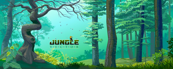 Jungle with lush green grass, large trees, thick bushes, and the mysterious mist in the background.
