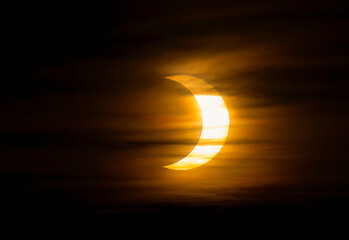Wall Mural - annular solar eclipse june 10, 2021, rural kanata, ontario, canada