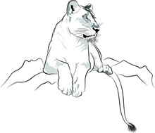 Line Art Of Lioness