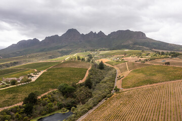 aerial view of vineyards near stellenbosch in south africa