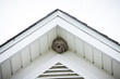A large hornet's nest in the top of a house