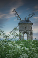 Wall Mural - Chesterton windmill in floral meadow (portrait)