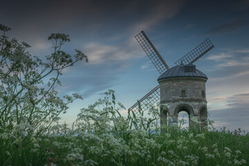 Wall Mural - Chesterton windmill in floral meadow (focus on the windmill)