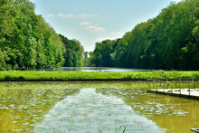 Reflet Des Arbres Dans L'étang Du Moulin Et Plus Loin Le Grand Canal Au Parc D'Enghien En Hainaut