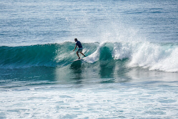 Wall Mural - Surfer on perfect blue aquamarine wave, empty line up, perfect for surfing, clean water, Indian Ocean close to Mirissa