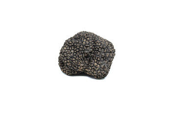 Wall Mural - black truffle, tuber aestivum, white background