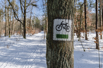 Poster - Marked bicycle trail in Kampinos National Park near Warsaw, capital of Poland