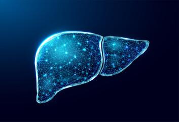 Human liver. Wireframe low poly style. Concept for medical, treatment of the hepatitis.  Abstract modern 3d vector illustration on dark blue background.