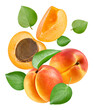 Apricot fruit with apricot leaf isolated on white background