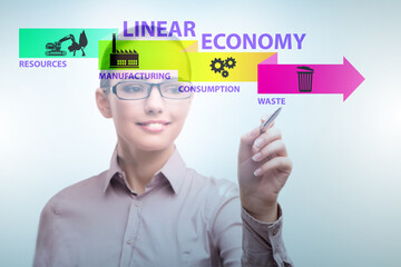 Poster - Concept of linear economy with businesswoman