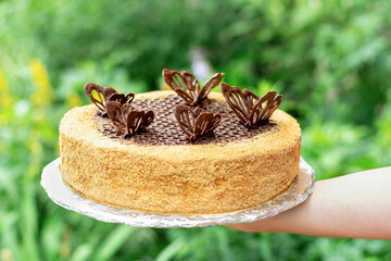 Honey cake on a round cake board in a hand. Picnic pie decorated with chocolate butterflies and crumbs on a green background.