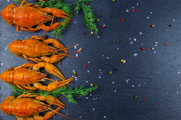 Wall Mural - Red boiled crayfish with dill and spices on black slate background. Top view