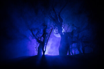 Wall Mural - Spooky dark landscape showing silhouettes of trees in the swamp on misty night. Night mysterious landscape in cold tones - silhouettes of the bare tree branches against the full moon