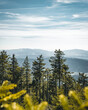 View over the Top of Muntains in the Bavarian Forest