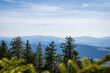 View over the Top of Muntains in the Bavarian Forest