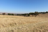 Fototapeta Sawanna - Winter grass field landscape photograph taken in South Africa during the winter season