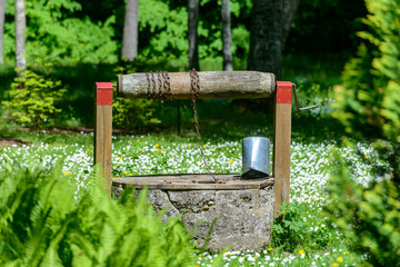 Wall Mural - Water well with a bucket and background with white spring flowers.