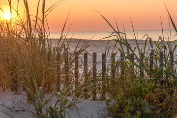 Dune fencing with beach sunrise