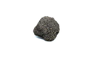 Wall Mural - black truffle, tuber aestivum, white background