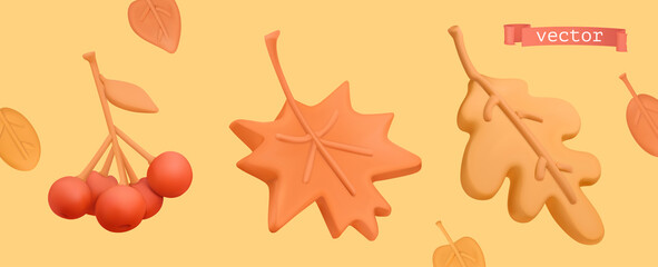 Wall Mural - autumn icon set. red rowan, orange maple leaf, yellow oak leaf. 3d vector plasticine art objects