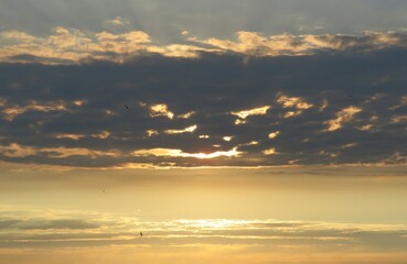 Wall Mural - Yellow golden sunset over the city with dark cloudscape in the sky