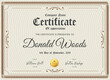 Traditional elegant certificate  of achievement award template design vector illustration