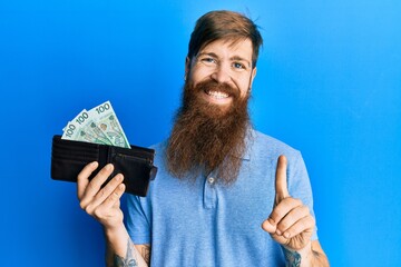 Canvas Print - Redhead man with long beard holding wallet with polish zloty banknotes smiling with an idea or question pointing finger with happy face, number one