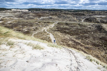 Hiking Trails In A Dune Nature Reserve, A Woman And Her Dog Among White Sand, Grass, Dry Heather And Trees In The Background, Sky Covered With Clouds In Schoorlse Duinen, North Holland, Netherlands