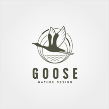 Flying Goose River Bank Logo Vector Symbol Illustration Design, Vintage Goose Logo Design
