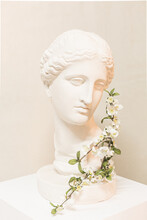 Statue Bust Aphrodite Plaster Sculpture Art Flowering