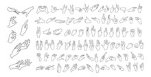 Gesturing. Set of contour hands in different gestures. Female hands in various situations. Hand showing signal or sign collection, on white background isolated. Wrist. ​vector illustration