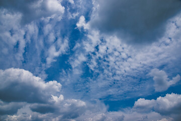 Canvas Print - 青空