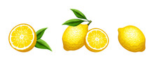 Vector Set Of Citrus Lemon Fruit Isolated On A White Background.