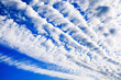 White cirrocumulus clouds blue sky background, fluffy stratocumulus cloud texture, altocumulus cloudy skies, beautiful high cirrus cloudscape view, sunny heaven landscape, cloudiness weather backdrop
