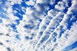 White cirrocumulus clouds blue sky background, fluffy stratocumulus cloud texture, altocumulus cloudy skies, beautiful high cirrus cloudscape view, sunny heaven landscape, cloudiness weather backdrop