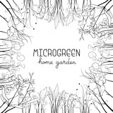 Fototapeta Młodzieżowe - Microgreen sketch vector illustration. Grass sprouts circle frame for text. Green for home gardening. Mustard, corn, peas, onion, sunflower plant for salad	