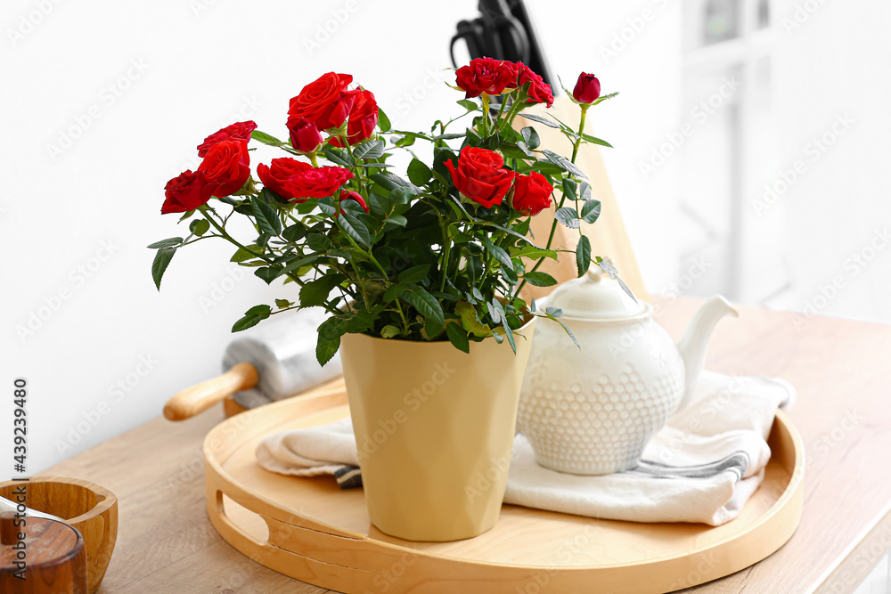 Beautiful red roses in pot on table