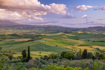 Wall Mural - Evening sunlight bathing farmland below Pienza in Tuscany