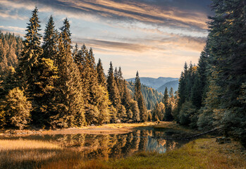 Fototapete - Wonderful nature scene in the autumn forest. Fairy tale alpine lake with magic spruse forest under sunlight during sunset. Amazing nature landscape. Vivid natural wallpaper. Used as background